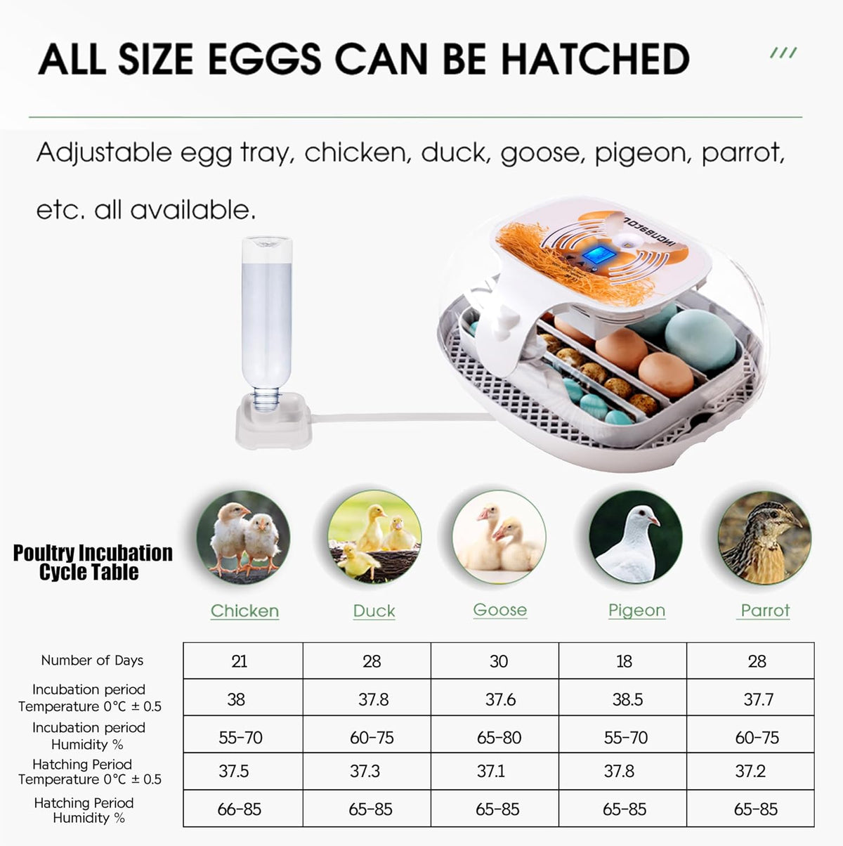 16-35 Eggs Incubator with Automatic Egg Turner B4632