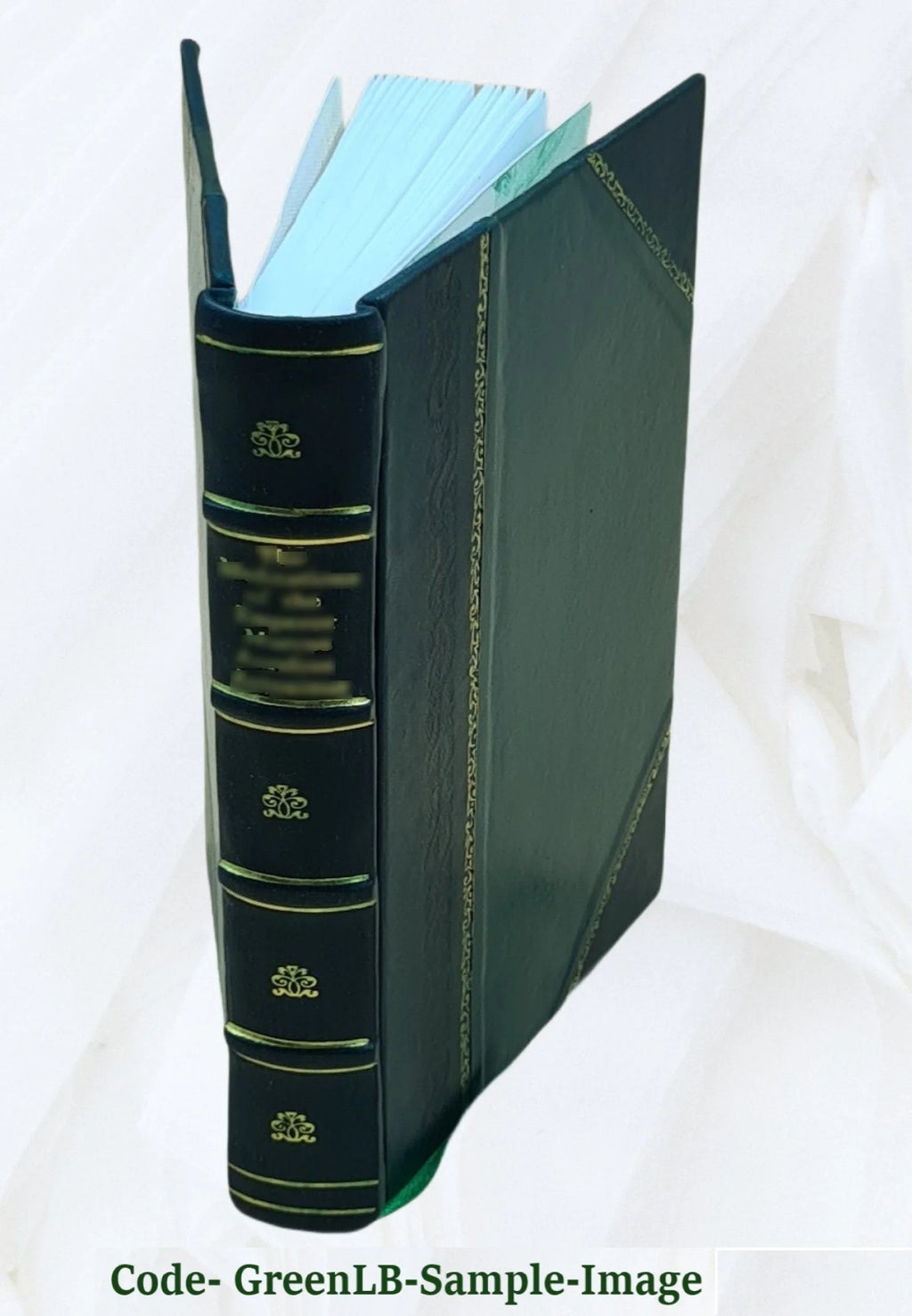 Leather Bound Y64391