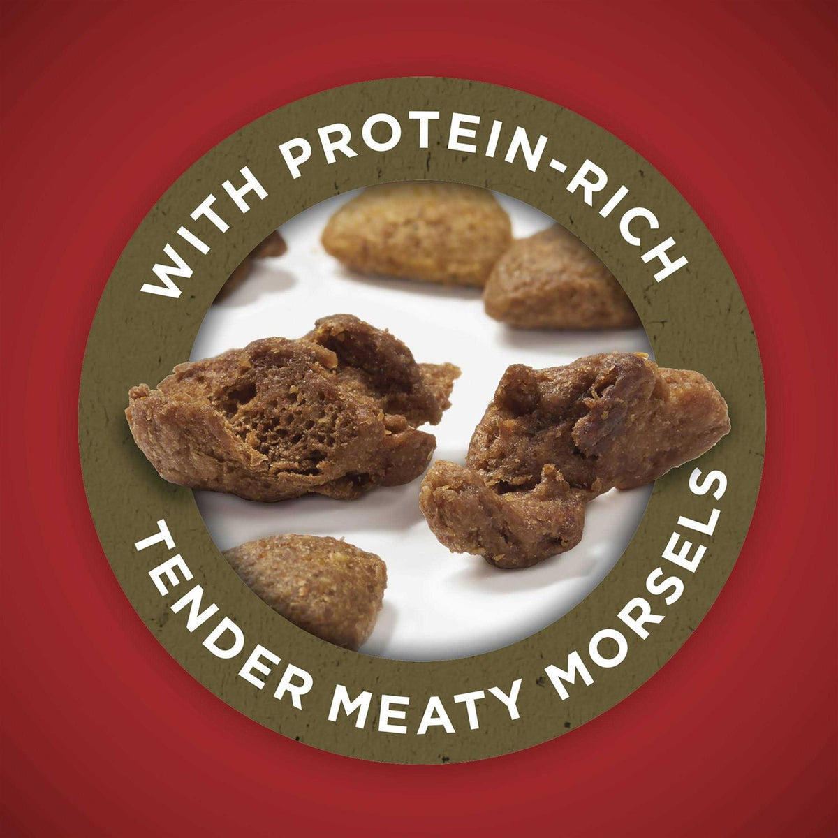 Lamb & Rice Dry Dog Food M87241