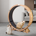 Maple Wood Cat Exercise Wheel I5296
