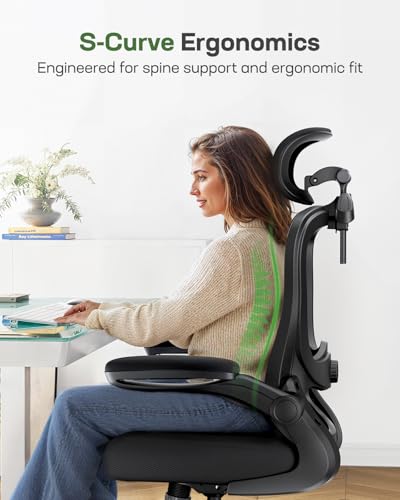 Ergonomic Office Chair with 3D Lumbar Support, Headrest, Flip-Up Armrests, High Back, Thick Cushion R3292