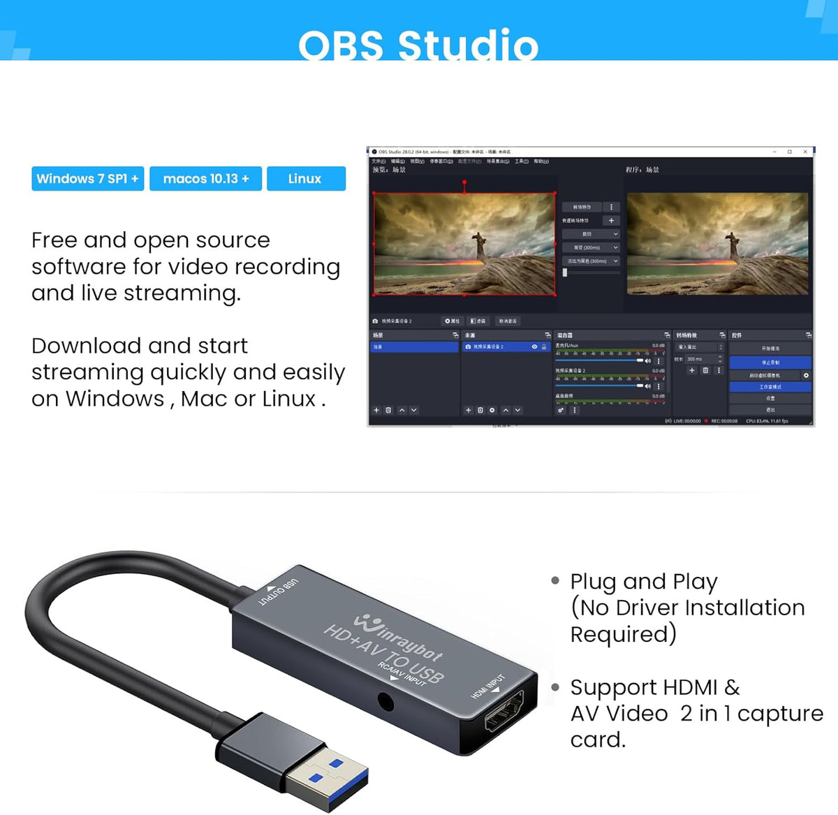 USB Video Capture Card N18344