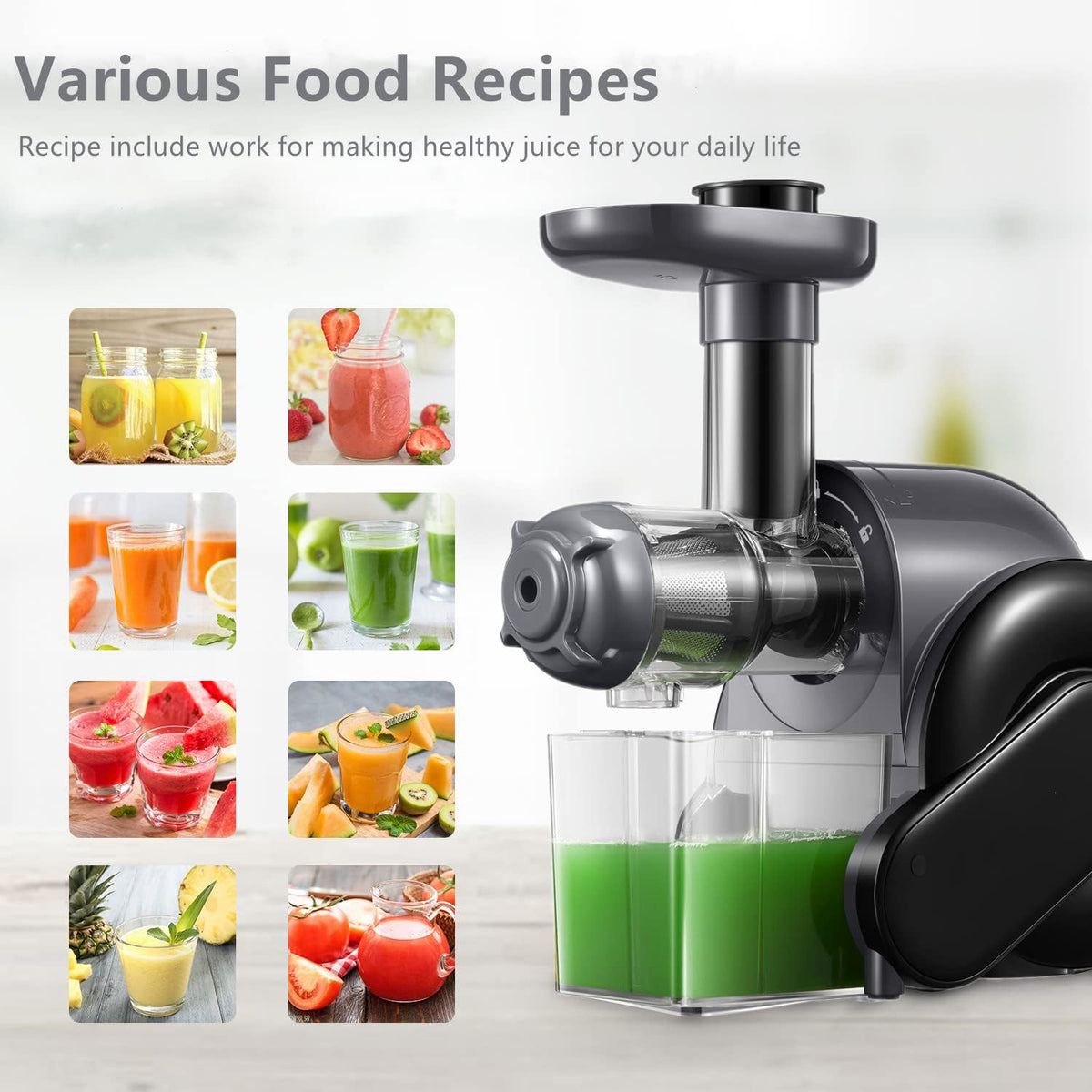 Slow Juicer Masticating Juicer with 2 Filter A1242