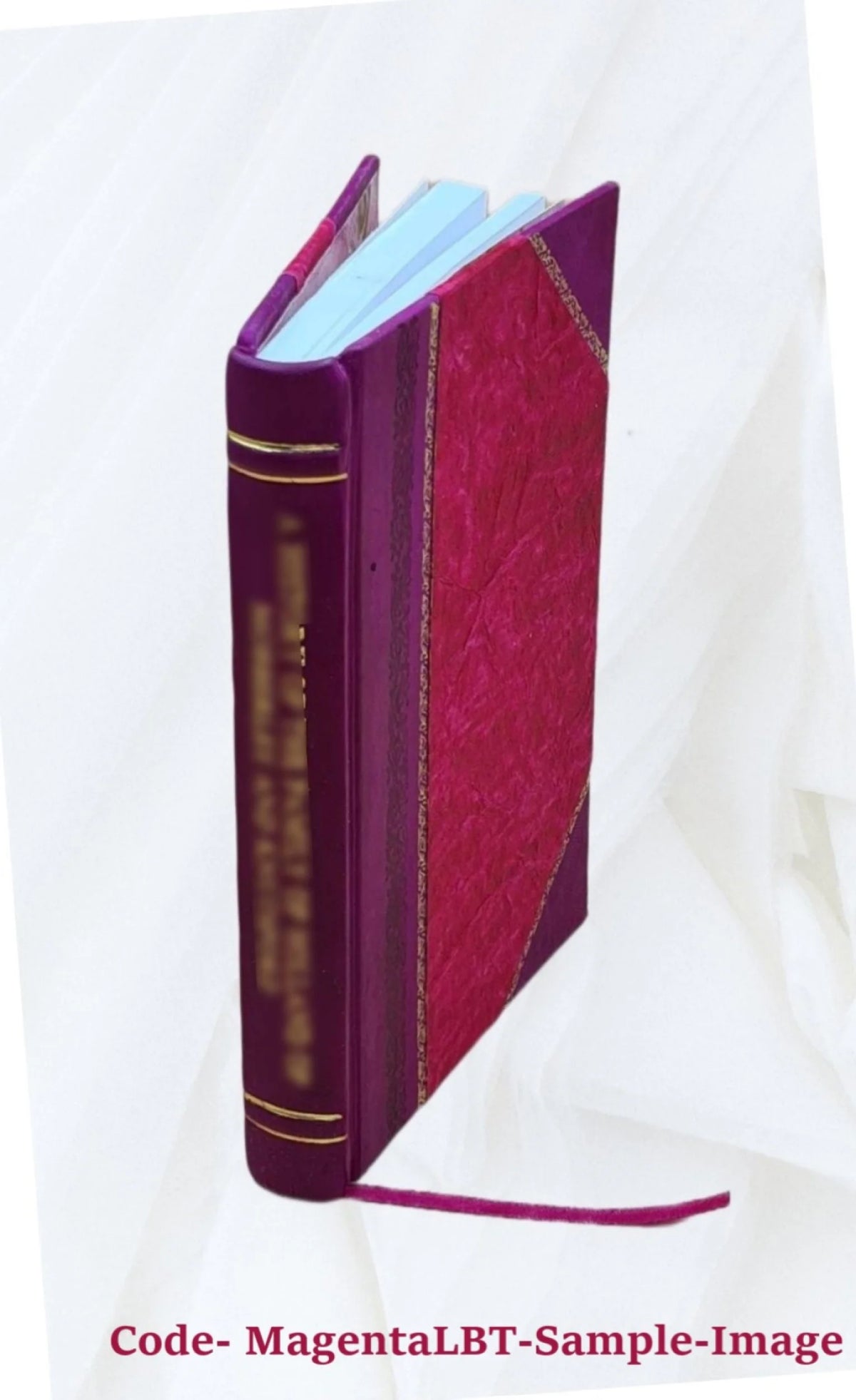 Leather Bound Book A831