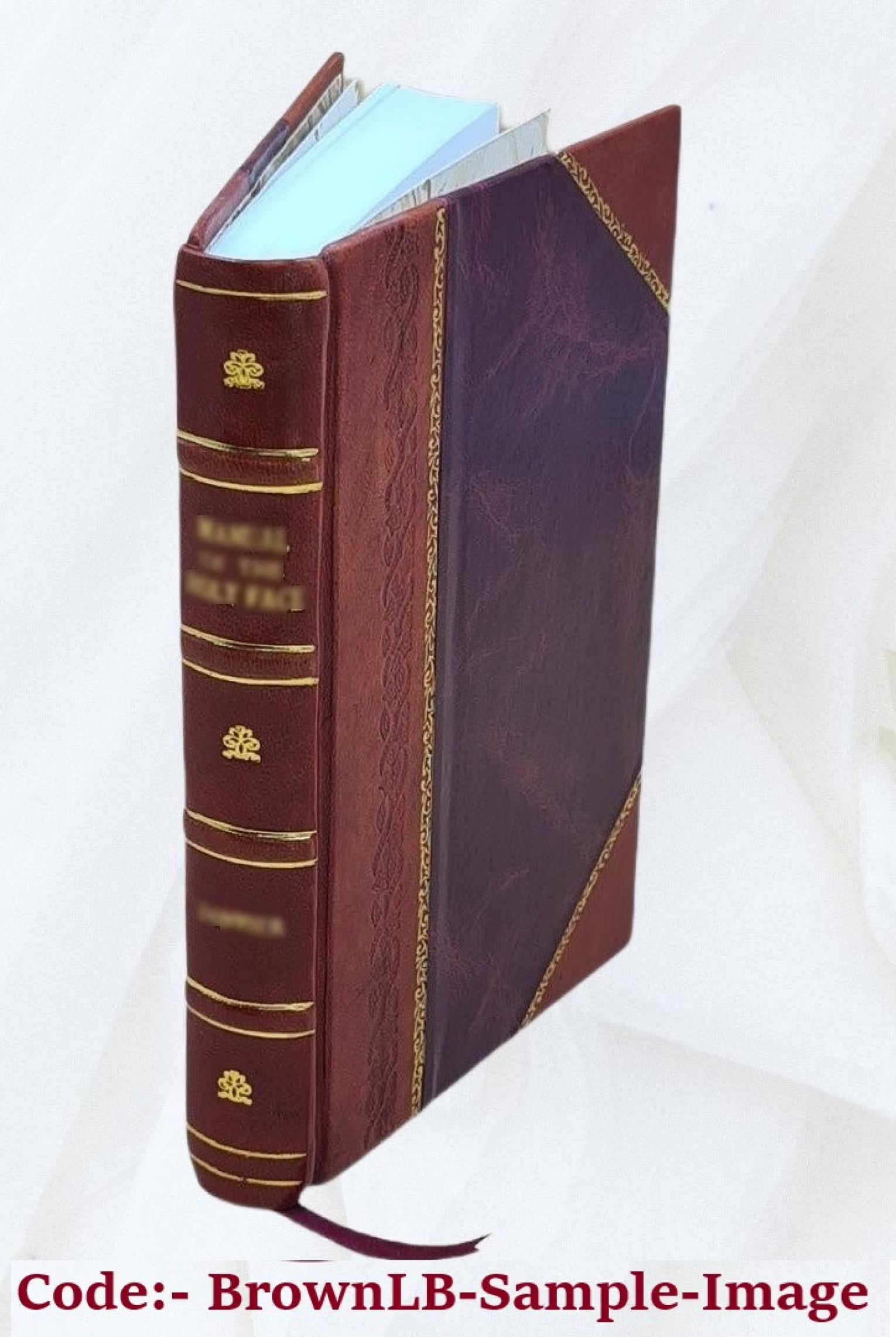 Leather Bound Y64391