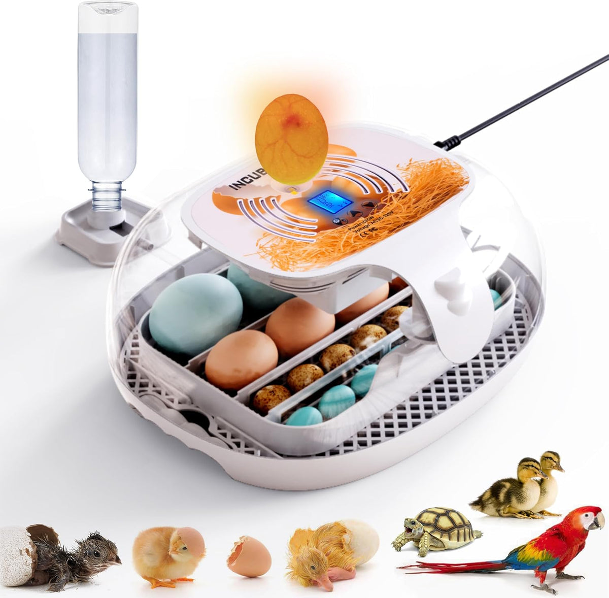 16-35 Eggs Incubator with Automatic Egg Turner B4632