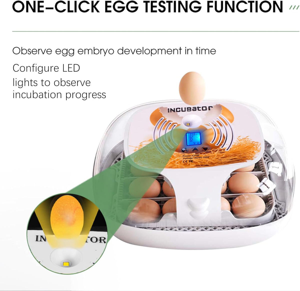 16-35 Eggs Incubator with Automatic Egg Turner B4632