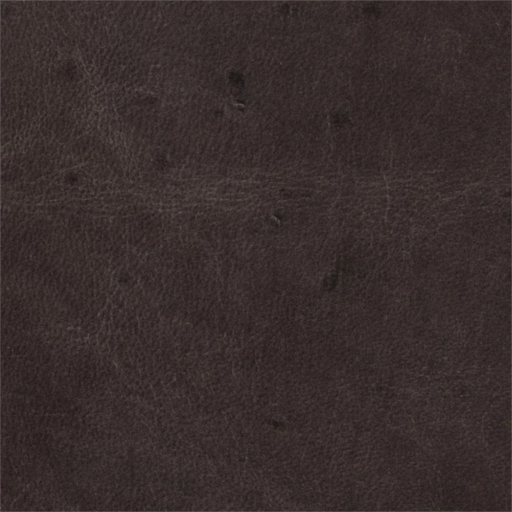 Dark Brown Leather Wing Club Chair Z917