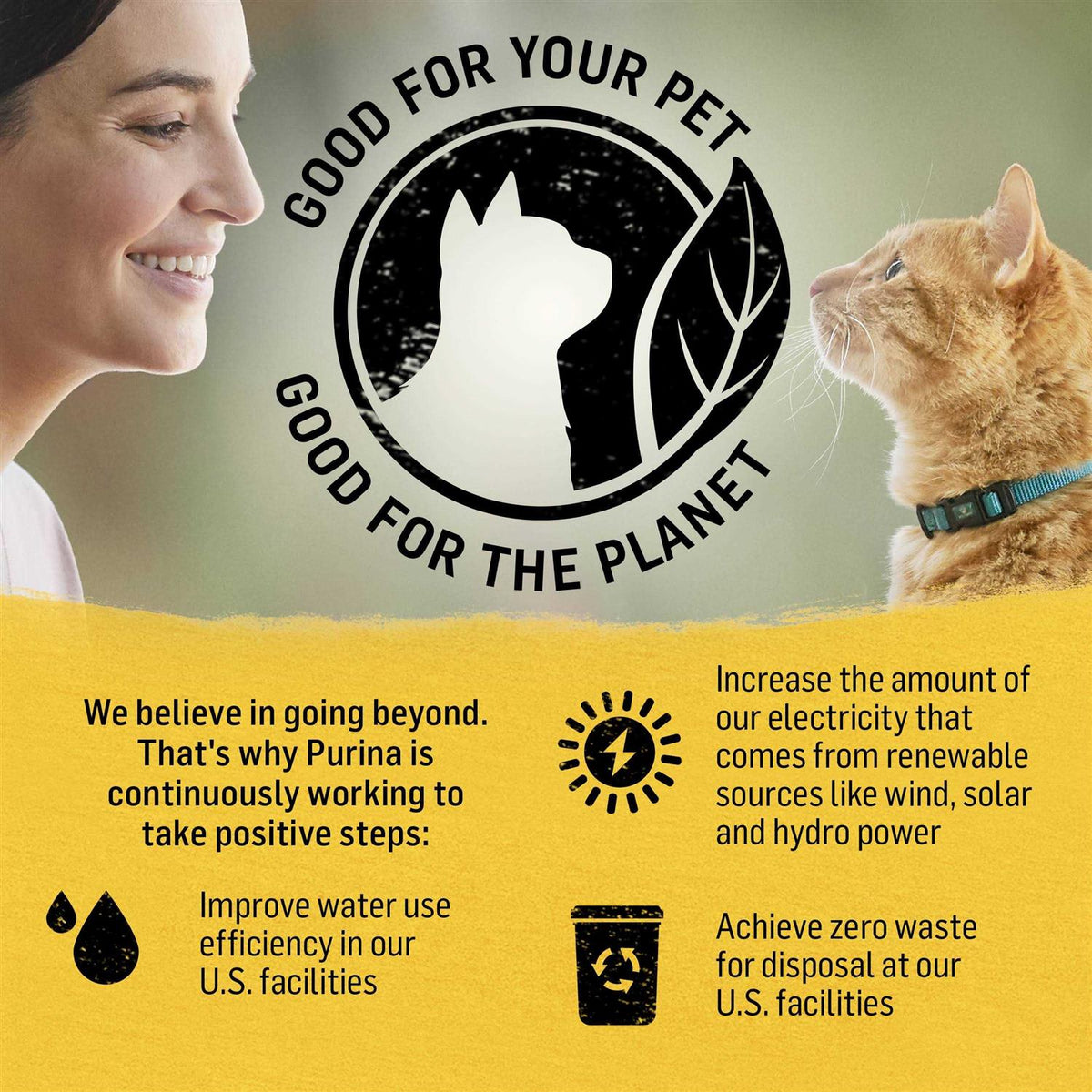Cat Dry Food K889