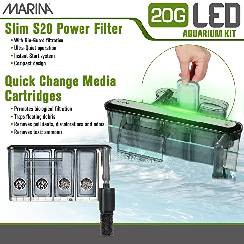 5 Gallon LED Aquarium Kit N7747