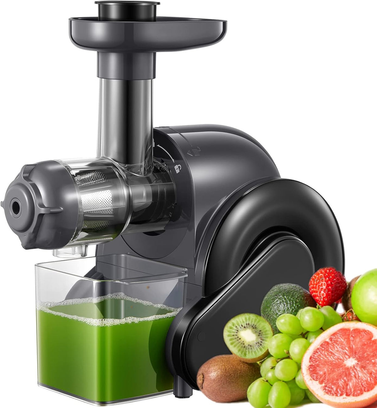 Slow Juicer Masticating Juicer with 2 Filter A1242