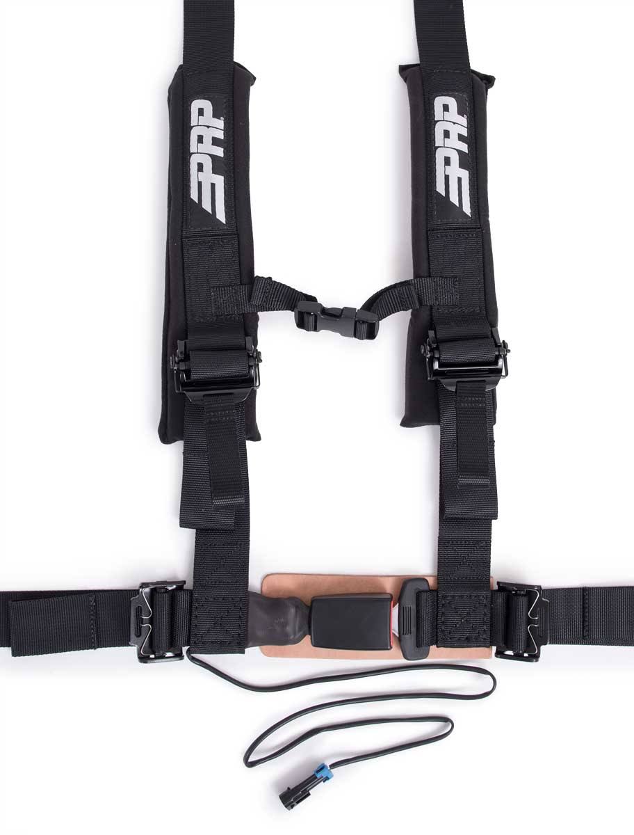 2 inch 4 Point Harness A845577