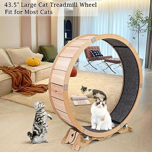 Maple Wood Cat Exercise Wheel I5296