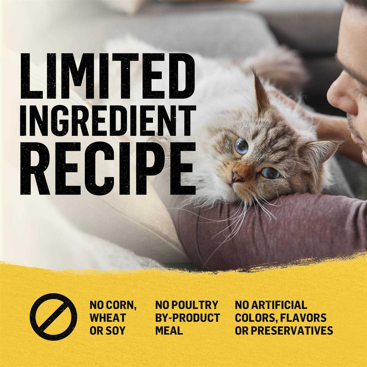 Cat Dry Food K889
