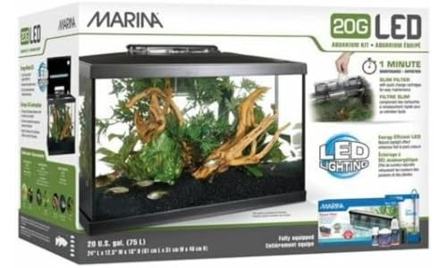 5 Gallon LED Aquarium Kit N7747