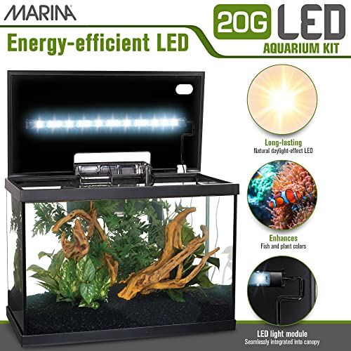 5 Gallon LED Aquarium Kit N7747