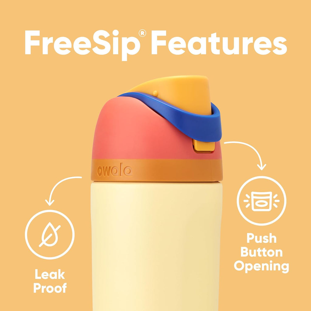 16 oz Insulated Stainless Steel Water Bottle with Straw and Push-Button Lid Z788