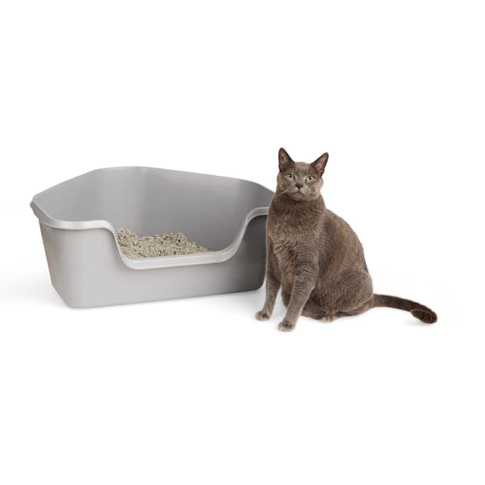 Grey High-Back Corner Litter Box N64460
