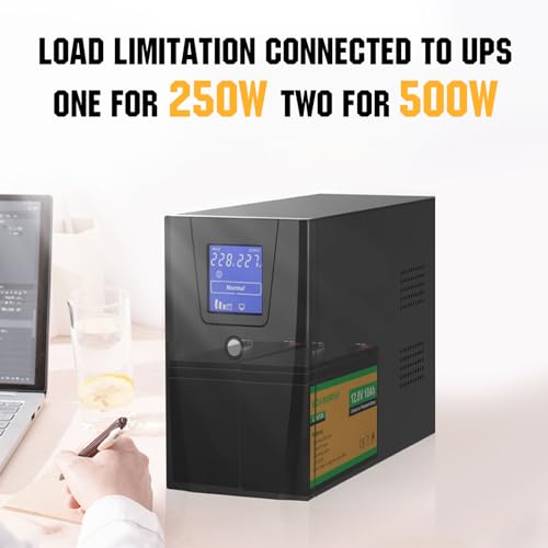 12V 10Ah Lithium LiFePO4 Deep Cycle Battery with Built-in BMS D330