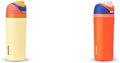 16 oz Insulated Stainless Steel Water Bottle with Straw and Push-Button Lid Z788