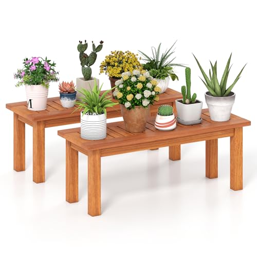 Wooden Plant Stand with Teak Oil Finish X145671