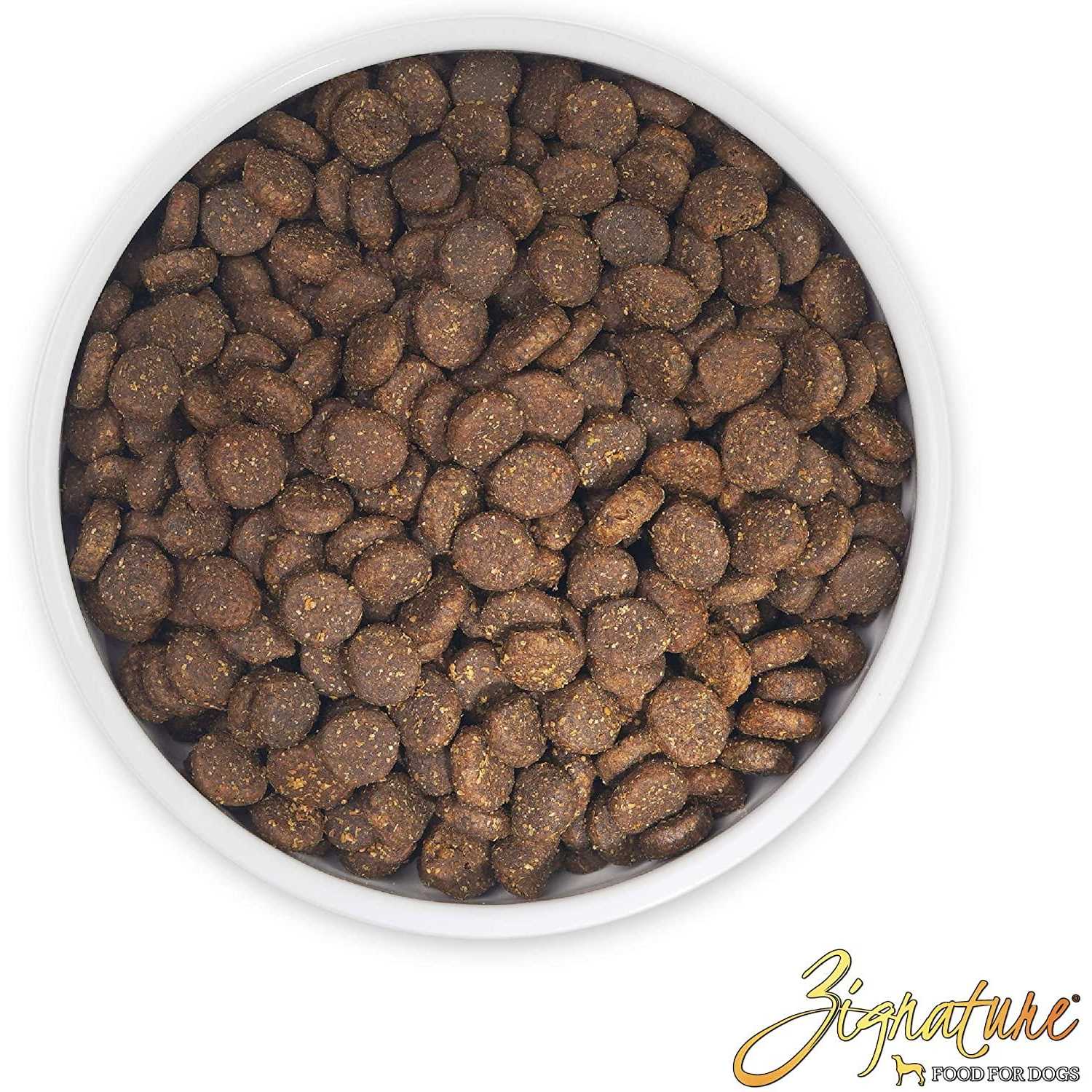 Trout & Salmon Formula Dry Dog Food F91830
