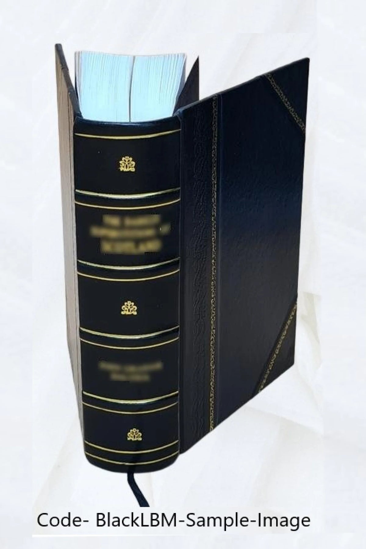 Leather Bound Book O22665