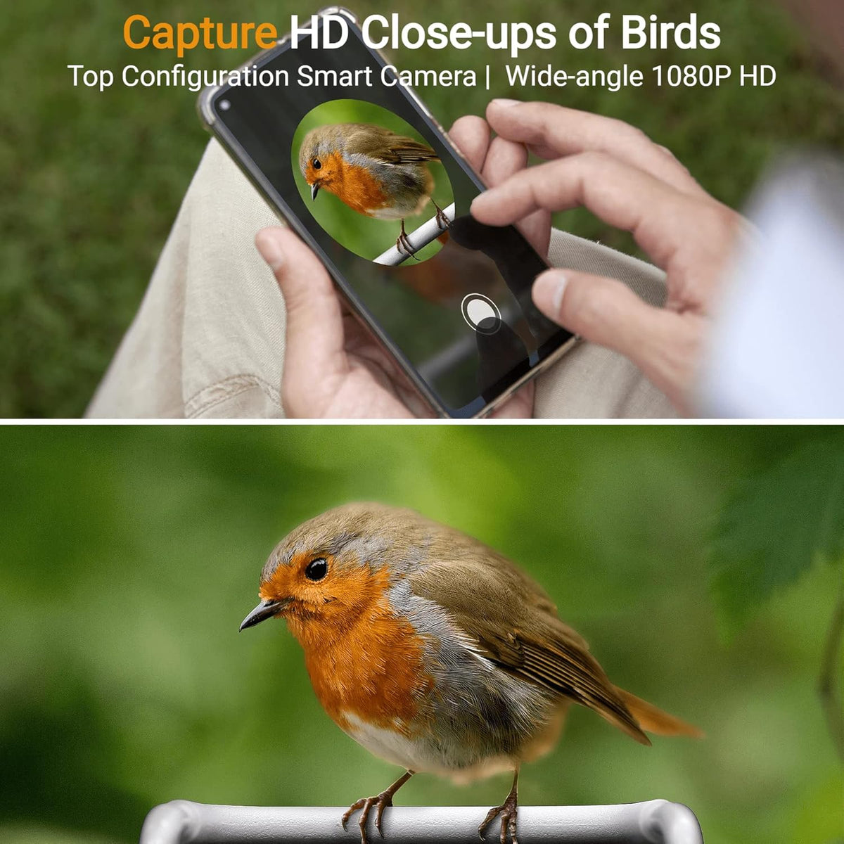 Bird Feeder Camera with AI Bird Species Recognition M877