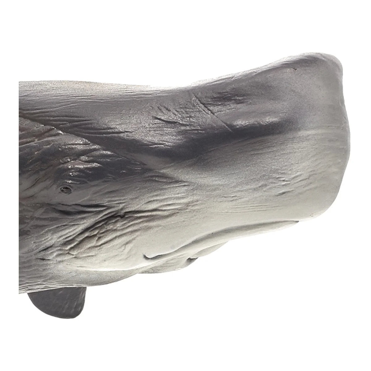 Large Sperm Whale Wildlife Figurine Y525912